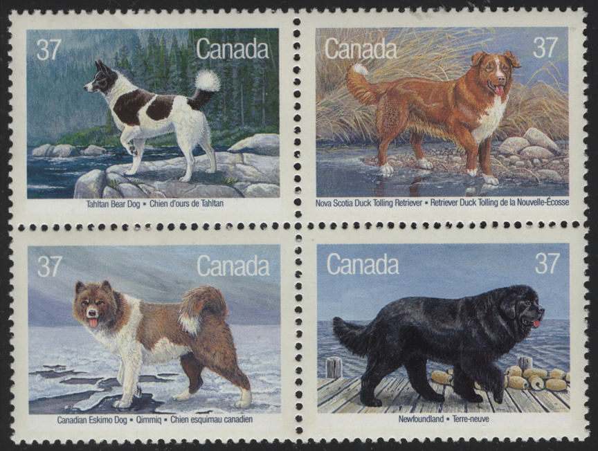 Canada Dog Stamp