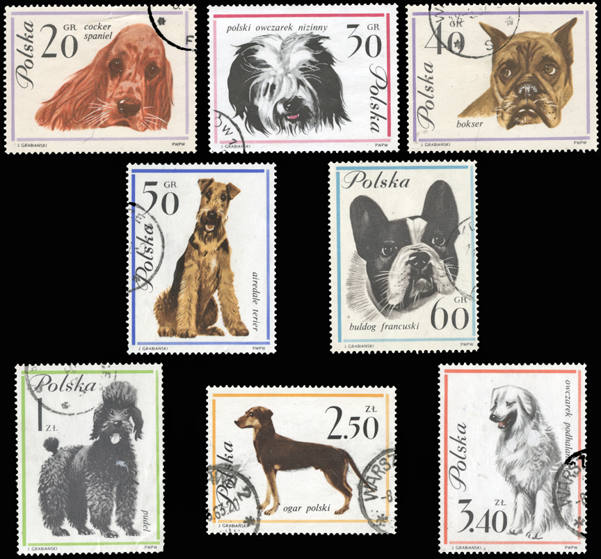 Poland Dog Stamp