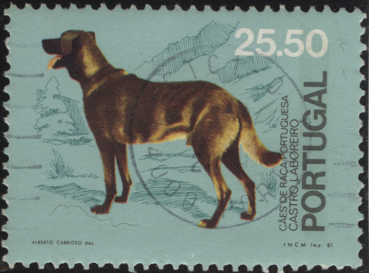 Portugal Dog Stamp