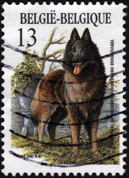Belgium Dog Stamp