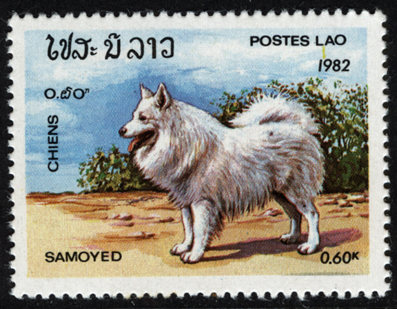 Laos Dog Stamp