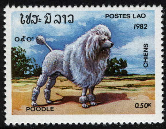 Laos Dog Stamp