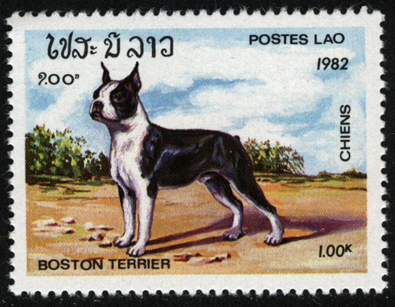 Laos Dog Stamp