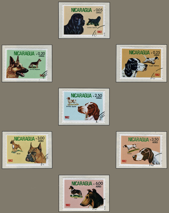 Nicaragua Dog Stamp