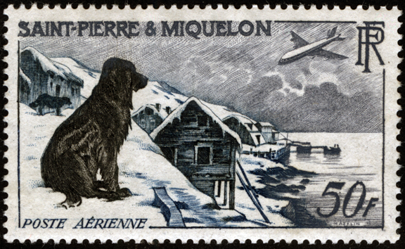 Saint Pierre and Miquelon Dog Stamp