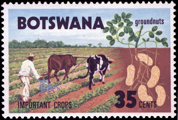 Botswana Peanut Stamp