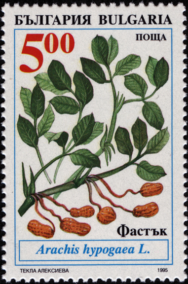 Bulgaria Peanut Stamp