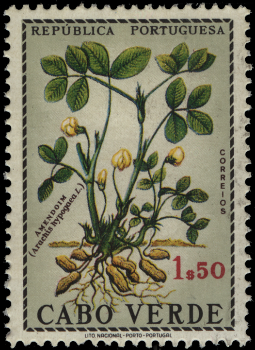 Cape Verde Peanut Stamp