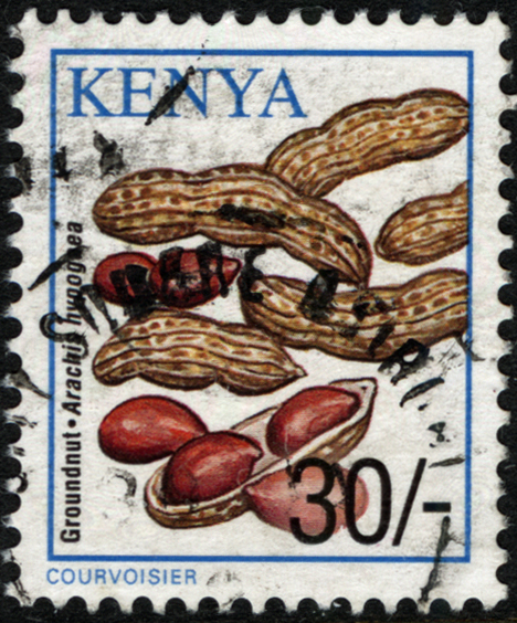 Kenya Peanut Stamp
