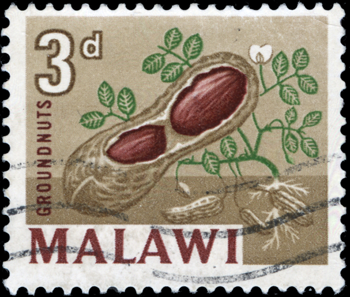 Malawi Peanut Stamp