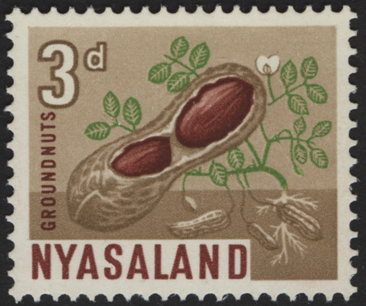 Nyasaland Peanut Stamp