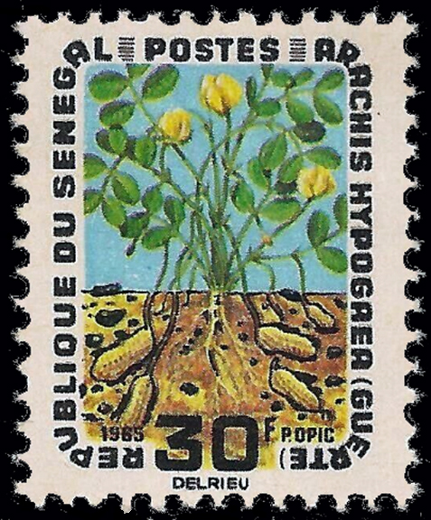 Senegal Peanut Stamp