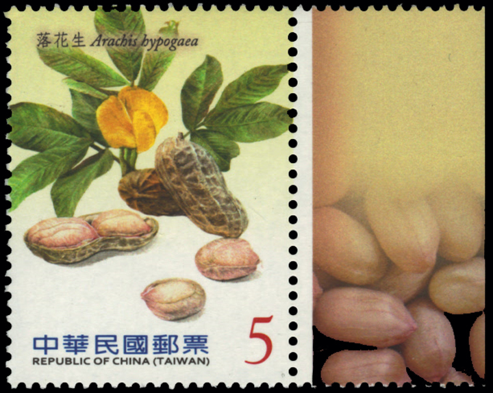 Taiwan Peanut Stamp