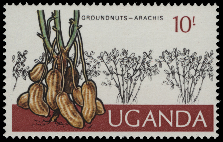 Uganda Peanut Stamp