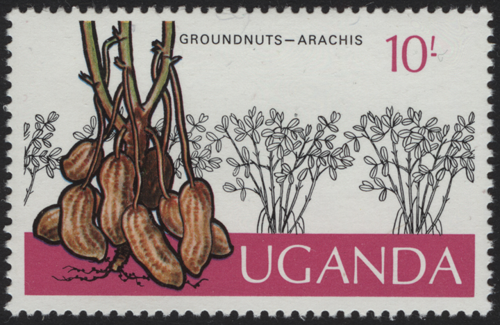 Uganda Peanut Stamp