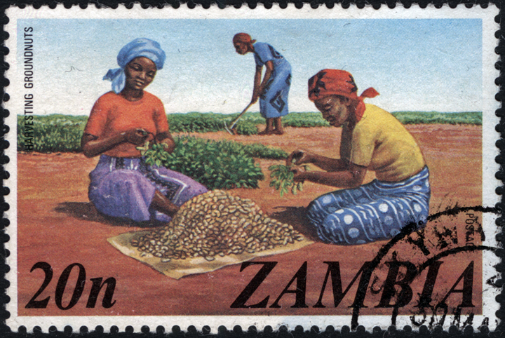 Zambia Peanut Stamp