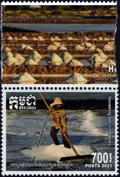 Cambodia Salt Stamp