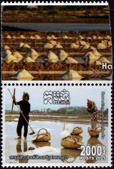 Cambodia Salt Stamp